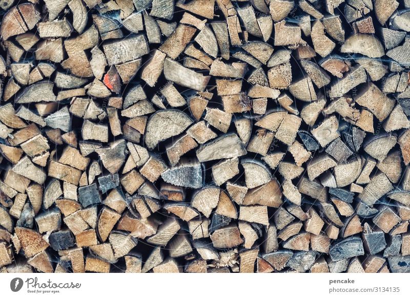 pile up Collection Wood Design Sustainability Nature Thrifty Survive Stack of wood Supply Winter Heat Colour photo Subdued colour Exterior shot Close-up Detail