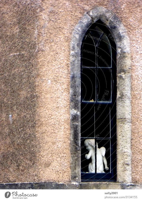 system relevant | guardian angel... Angel Church Window Figure Statue White Belief religion Kirchenfesnter Narrow Hope pray Prayer Religion and faith