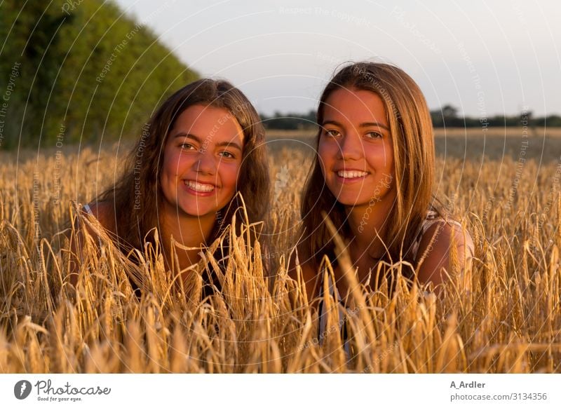 two young women in the cornfield Life Harmonious Well-being Contentment Human being Feminine Young woman Youth (Young adults) Sister Family & Relations