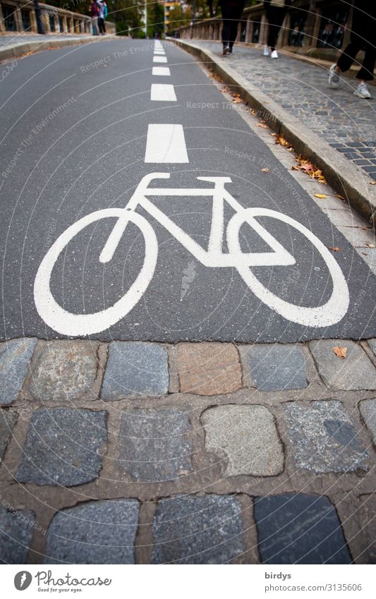 Narrow-gauge bicycle path Human being 5 Bridge Transport Traffic infrastructure Cycling Pedestrian Street Road sign Cycle path Sign Line Going Esthetic