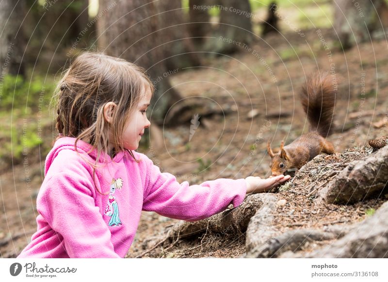 Feeding squirrels #2 Vacation & Travel Trip Child Human being Feminine Toddler Girl Infancy 1 3 - 8 years Nature Animal Tree Forest Wild animal To feed Sit Wait