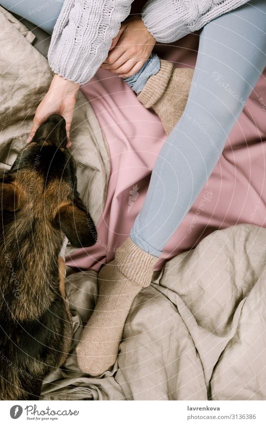 Cozy flatlay of woman's legs in blue leggins and warm socks - a