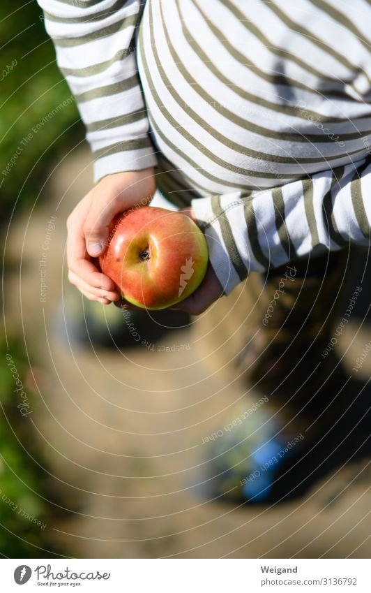 apple happiness Food Fruit Apple Nutrition Picnic Organic produce Vegetarian diet Diet Slow food Kindergarten Child 1 Human being Environment Nature Eating Red