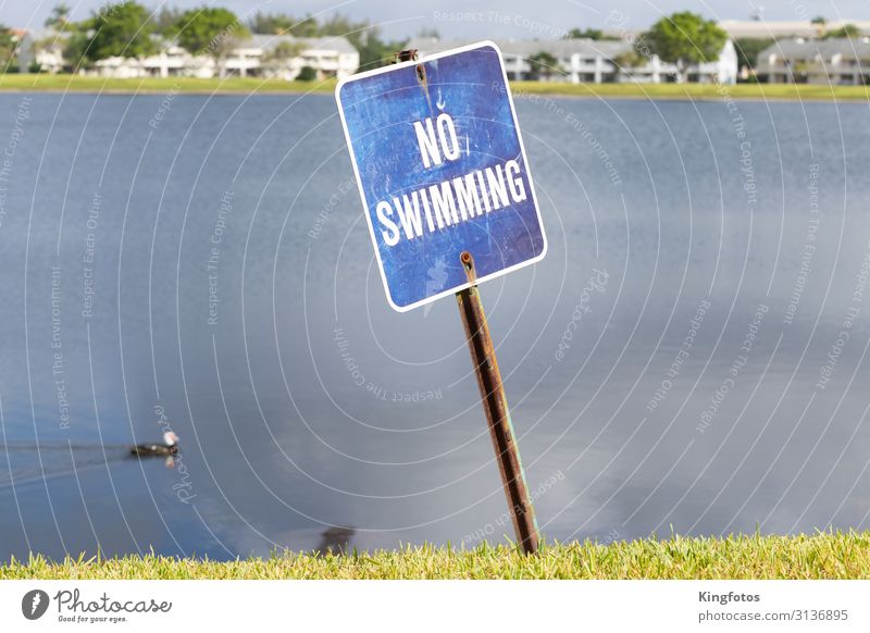 No Swimming Environment Nature Landscape Water Lakeside Pond House (Residential Structure) Building Duck 1 Animal Bans Far-off places Swimming & Bathing Blue