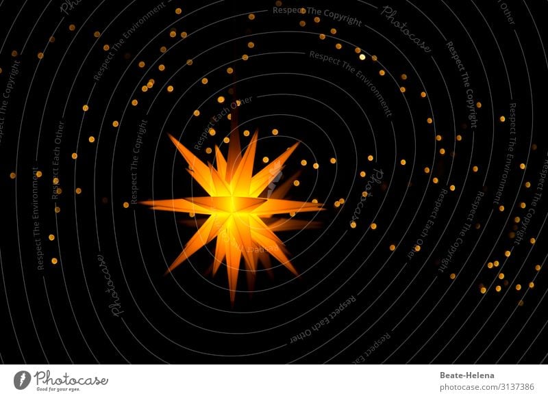 Light in the darkness Winter Night life Feasts & Celebrations Christmas & Advent Sky Stars Building Window Fairy lights Flare Visual spectacle Sign Starry sky