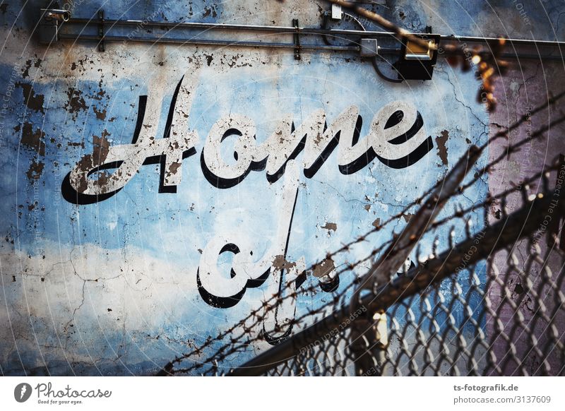 Home of the blue crumbling wall New York City Deserted Manmade structures Building Wall (barrier) Wall (building) Facade Fence Wire netting Wire netting fence