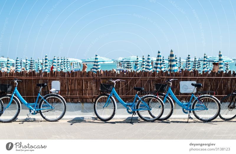 Rental bikes on the beach. Blue bicycles on the street. Lifestyle Relaxation Leisure and hobbies Vacation & Travel Tourism Beach Sports Transport Street Vehicle