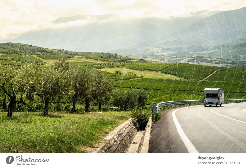 Asphalt road, vineyards and olive trees in countryside. Vacation & Travel Tourism House (Residential Structure) Garden Nature Landscape Autumn Tree Hill Village