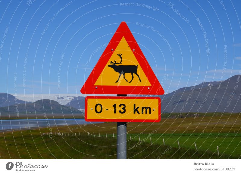 Reindeer ahead Animal Signs and labeling Signage Warning sign Road sign Driving Sharp-edged Blue Yellow Red Iceland Colour photo Exterior shot Deserted Day