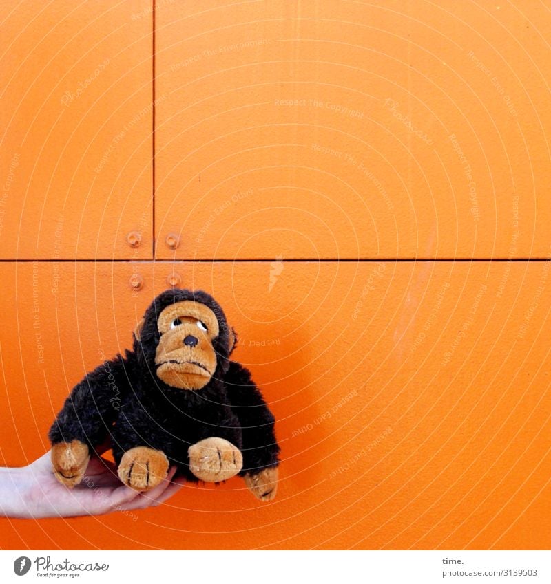 Francois is still skeptical about what's coming. Masculine Man Adults Hand 1 Human being Wall (barrier) Wall (building) Monkeys Animal Prefab construction Metal