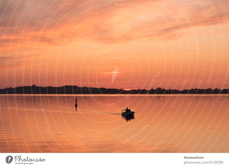 Sunset with boat Fishing (Angle) Vacation & Travel Summer Ocean Fisherman Fishing boat Human being Masculine Man Adults 1 Water Sky Horizon Beautiful weather