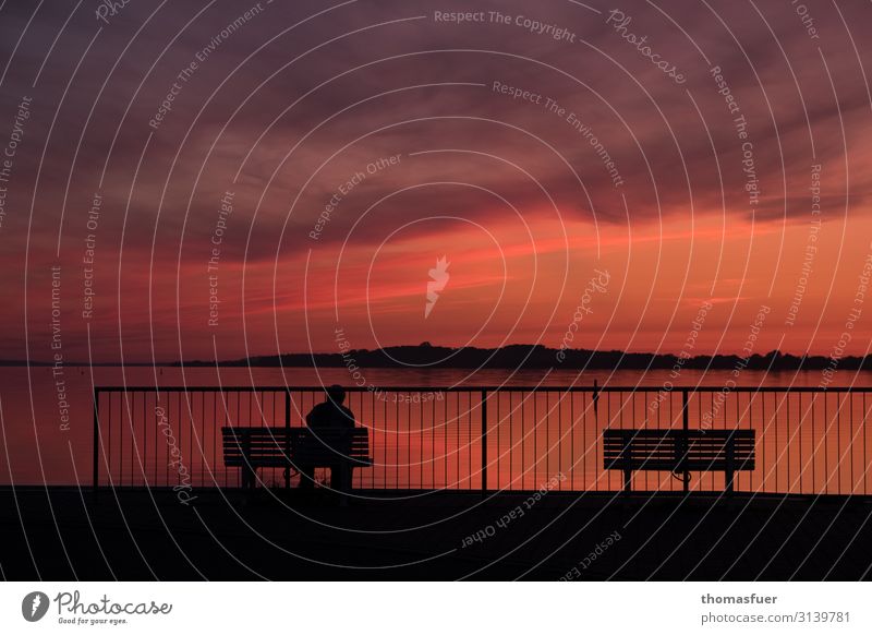 Sunset by the sea with bench and 1 person Vacation & Travel Far-off places Summer Beach Ocean Human being Landscape Sky Clouds Horizon Sunrise Beautiful weather