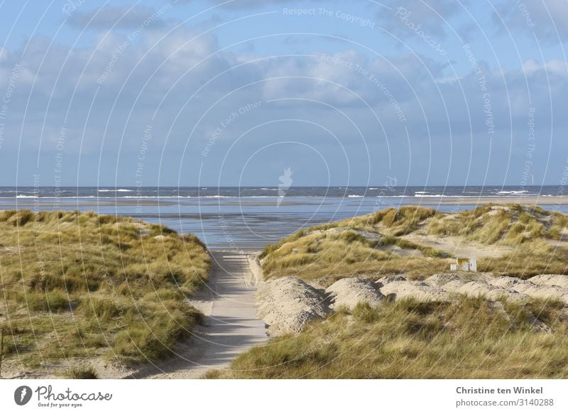 Dune landscape on Borkum with a view of the North Sea Vacation & Travel Tourism Ocean Island Waves Environment Nature Landscape Sand Water Sky Clouds Autumn