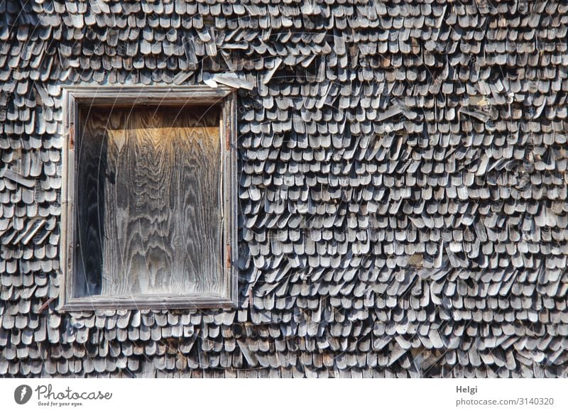 Facade with old dilapidated wooden shingles and window closed with wooden panel House (Residential Structure) Window Shingle roof Wood Old Authentic Exceptional