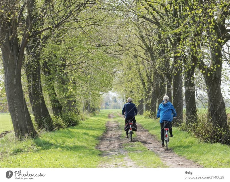 Rear view of a male and female person on a bicycle in an alley in spring Leisure and hobbies Trip Cycling tour Human being Masculine Feminine Female senior