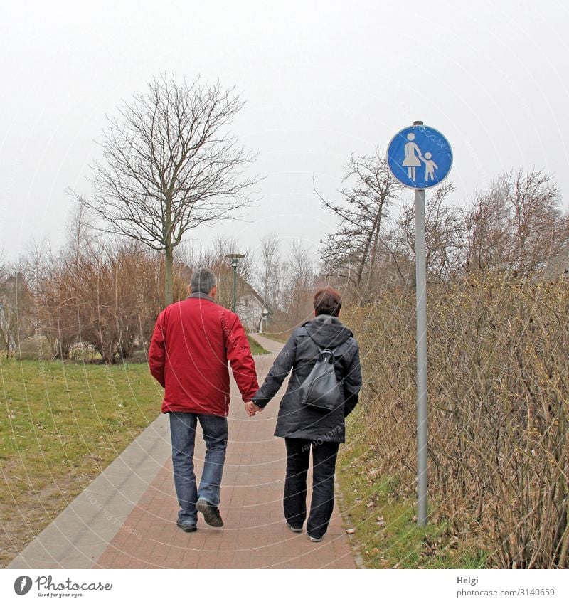 Rear view of a couple of elderly people holding hands and walking along a footpath Human being Masculine Feminine Woman Adults Man 2 45 - 60 years Environment