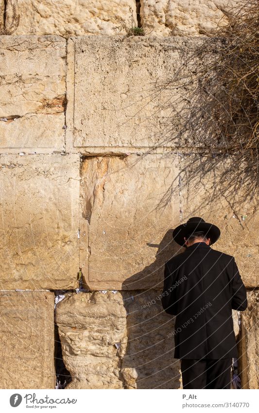 Wailing Wall Head Back Wall (barrier) Wall (building) Virtuous Vice Tolerant Judicious Religion and faith Judaism Hat The Wailing wall Israel West Jerusalem