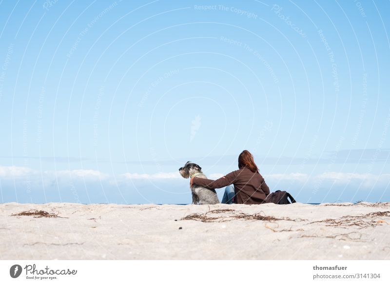 Woman with dog at the beach looking into the distance Vacation & Travel Trip Summer Summer vacation Ocean Human being Feminine Adults 1 Landscape Cloudless sky