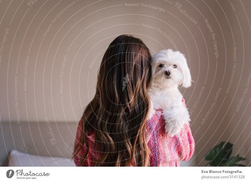 young woman holding her maltese dog on shoulder at home. Pets and lifestyle. back view Youth (Young adults) Rear view Woman Dog cute small Home Interior shot