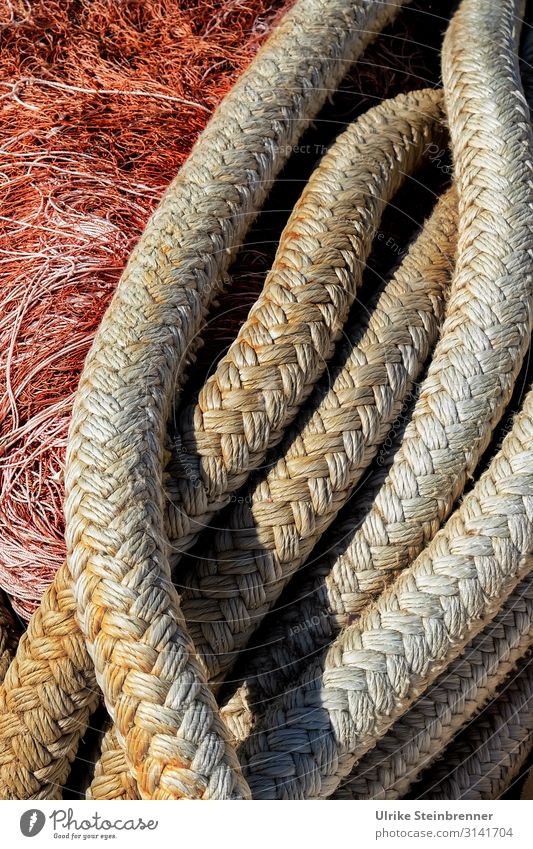 Boat rope in front of fishing net Dew Rope Strick rope Plaited Fishing net Net Fishing industry Navigation Sardinia Pattern Colour photo Exterior shot Fishery