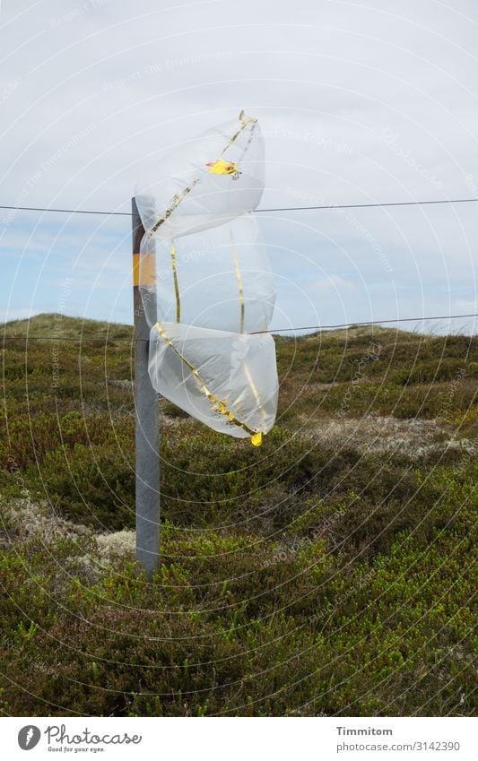 Plump airbag in the dune landscape Plastic plastic Sack transparent bins Air filled plump Pole Metal Wire cordon dunes Landscape Green Sky Blue Clouds