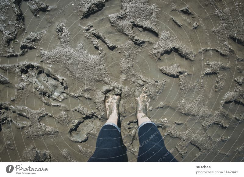 pretty muddy Mud Slick Dirty Ocean Mud flats Beach Wet North Sea Baltic Sea healing earth Wellness Healthy Cure Vacation & Travel Sludgy Barefoot