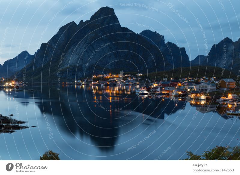 Blue nights Vacation & Travel Environment Night sky Mountain Fjord Island Reine Lofotes Norway Scandinavia Europe Fishing village Small Town Idyll Tourism