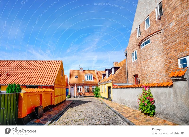 Colorful danish street in the summer Style Vacation & Travel Tourism House (Residential Structure) Culture Landscape Sky Town Downtown Building Architecture