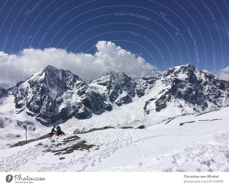 View of the snowy peaks of the Ortles group in South Tyrol king point Gran Zebrú Ortler Monte Zebrú Ortler Group Sulden am Ortler Winter vacation Mountain