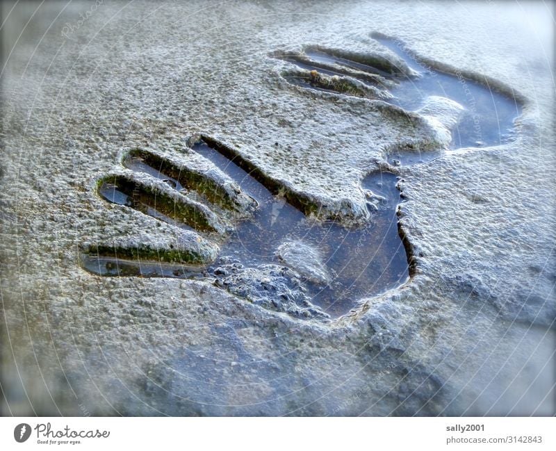 printed product | deep impression... by hand hands Impression give me five squeeze Stone rock Water Wet Negative vivid Children`s hand Fingers Fingerprint