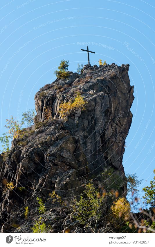 Summit with cross over Bodetal Nature Landscape Earth Air Sky Cloudless sky Autumn Beautiful weather Tree Bushes Rock Mountain Peak Stone Crucifix Tall Blue