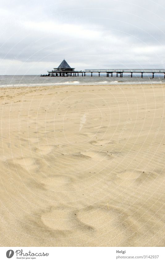 blown away traces in the sand at the beach of Heringsdorf with a pier in the background Vacation & Travel Tourism Environment Nature Landscape Sand Water Sky