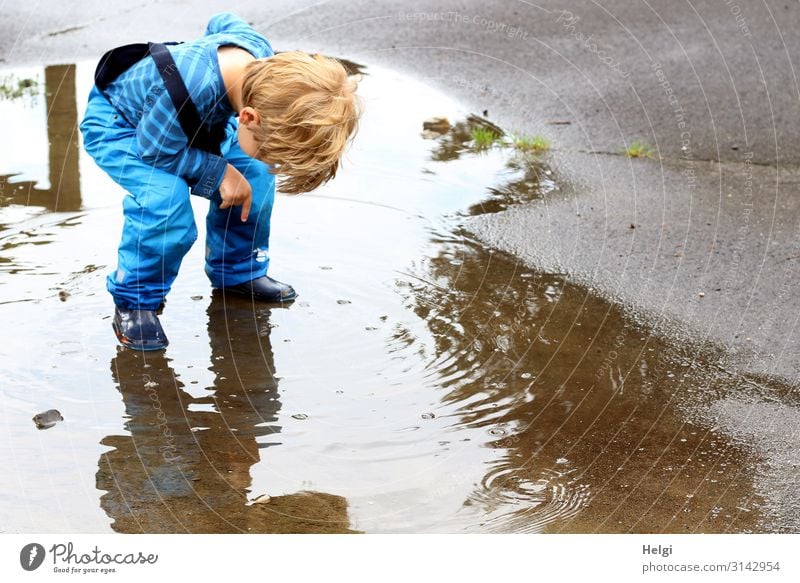 little boy stands tilted forward in a puddle and looks down Human being Child Toddler Boy (child) Infancy 1 3 - 8 years Environment Nature Summer Rain Pants