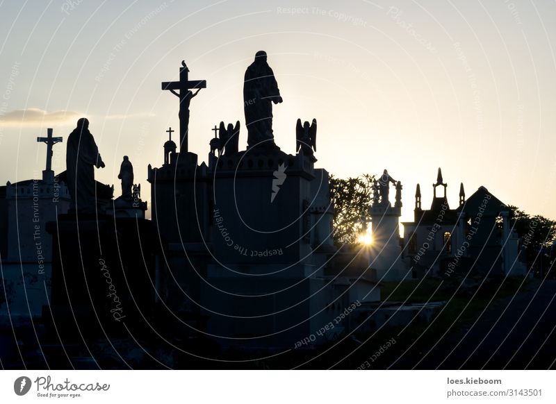 Sunset at Cementerio General with backlight Vacation & Travel Tourism Sightseeing City trip Summer Hallowe'en Town Church Creepy Sadness Death Tradition