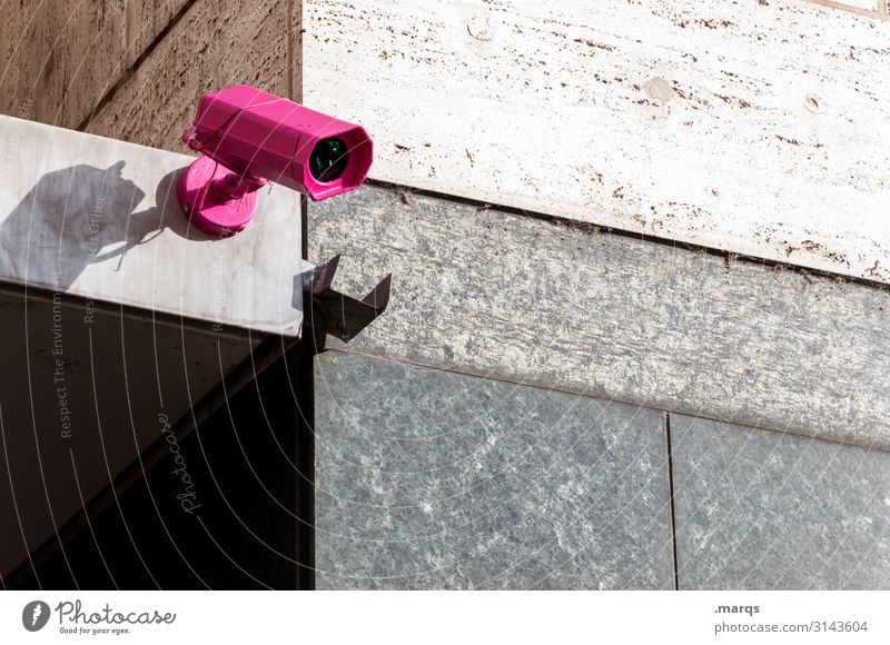 cam Video camera Surveillance camera Technology Wall (barrier) Wall (building) Observe Pink Testing & Control Politics and state Safety Spy Colour photo