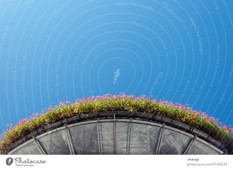 Geraniums on round balcony from below flowers Balcony plant Perspective Worm's-eye view Round Above Sky Blue Beautiful weather Summer warm Leisure and hobbies