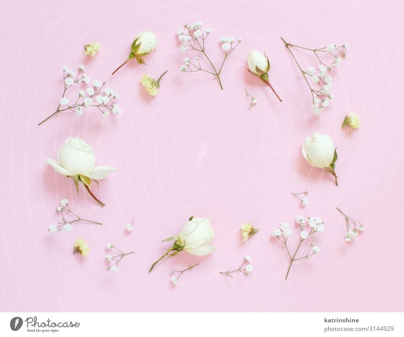 Flowers On A Light Pink Background A Royalty Free Stock Photo