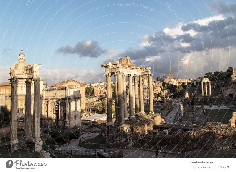 Roman Forum Clouds Rome Manmade structures Building Wall (barrier) Wall (building) Column Landmark Forum Romano Stone Sign Ruin Old times Esthetic Exceptional