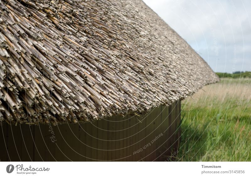 thatched roof Vacation & Travel Environment Nature Landscape Plant Weather Beautiful weather Grass Meadow Denmark Hut Wall (barrier) Wall (building) Roof Wood