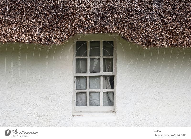 Window of an English cottage. Summer Weather Half-timbered house Facade Wall (building) Burdock plants country estate England Scotland masonry framework