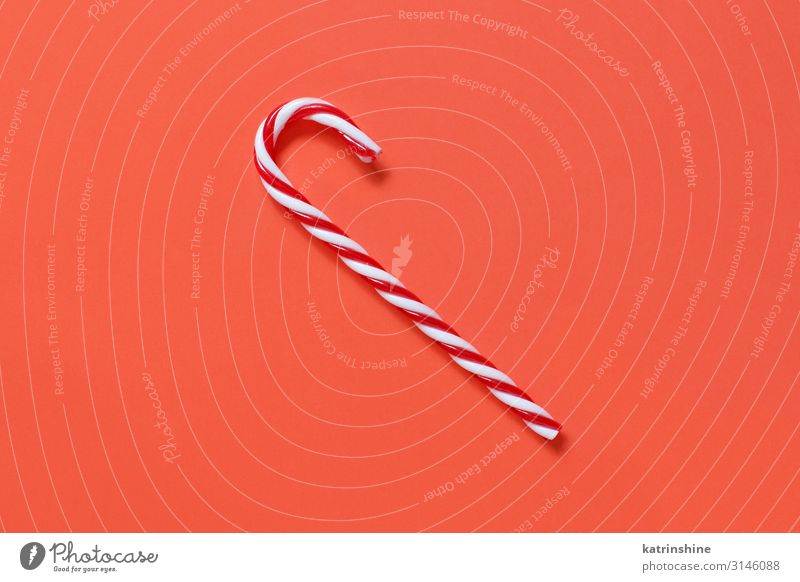 Red and white Christmas stick on a red background Decoration Ornament Bright coral red Guest Festive holidays seasonal noel Copy Space Minimal Conceptual design