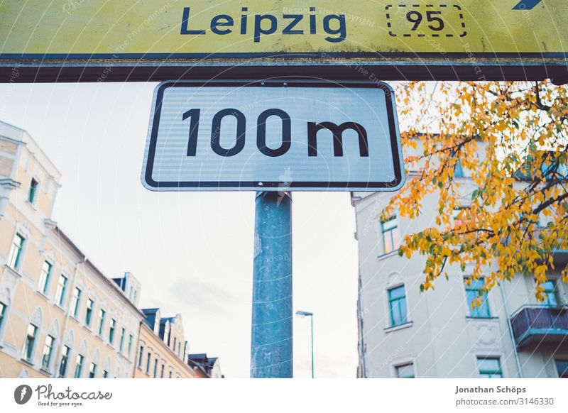 100m to Leipzig Calm Nature Autumn Leaf Forest Yellow Attentive Transience Evening sun Chemnitz Seasons October To go for a walk Day colored golden hour
