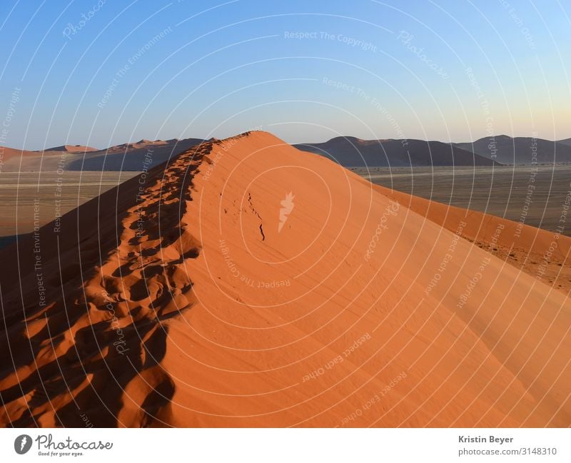 Desert dune in the morning sun Vacation & Travel Far-off places Expedition Hiking Nature Landscape Earth Sand Cloudless sky Hill Peak Namib desert Discover