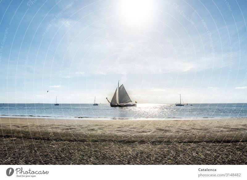 A flat-bottomed ship sails lazily past the beach, the tide sets in and the sun shines Beach coast Ocean Water Sand Vacation & Travel Horizon Sky Summer