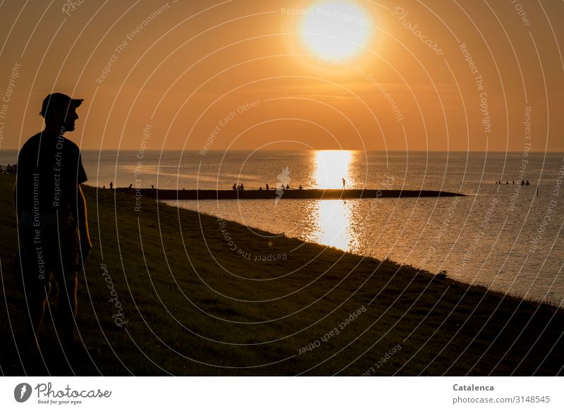 Silhouette of a man looking at how the sun sets Androgynous 1 Human being Group Environment Nature Elements Water Cloudless sky Horizon Summer Beautiful weather
