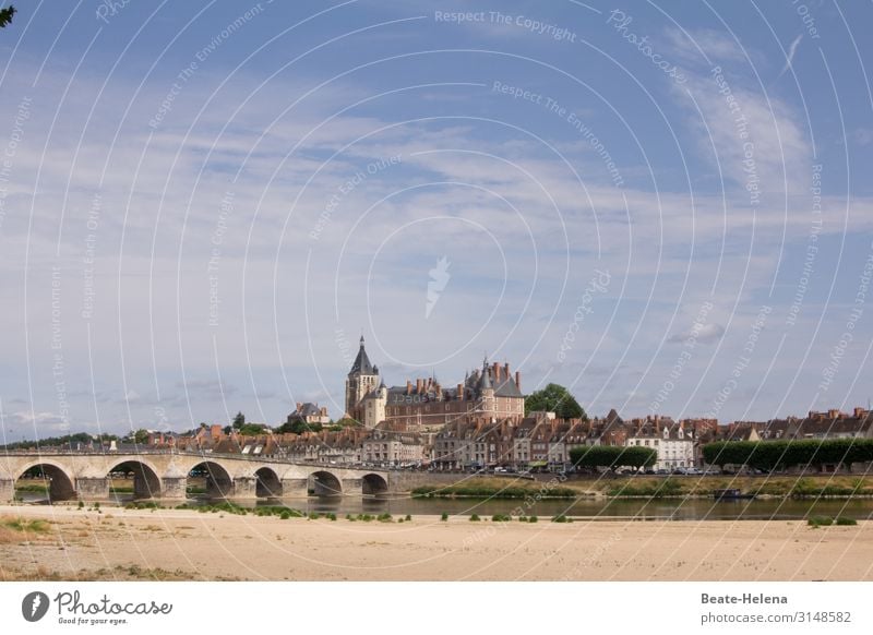 Along the Loire 11 France River Bridge Town Historic Lock Houses facade Architecture Old Landmark Building Water Castle Vacation & Travel Tourist Attraction