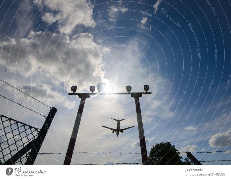 approach Vacation & Travel Tourism Sky Clouds Climate Beautiful weather Warmth Tegel Means of transport Passenger plane Runway Airplane landing Airplane takeoff