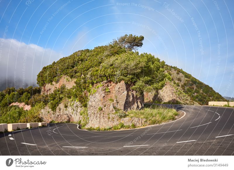 Scenic road bend in Anaga mountain range, Tenerife. Vacation & Travel Tourism Trip Adventure Freedom Expedition Cycling tour Summer vacation Mountain Nature