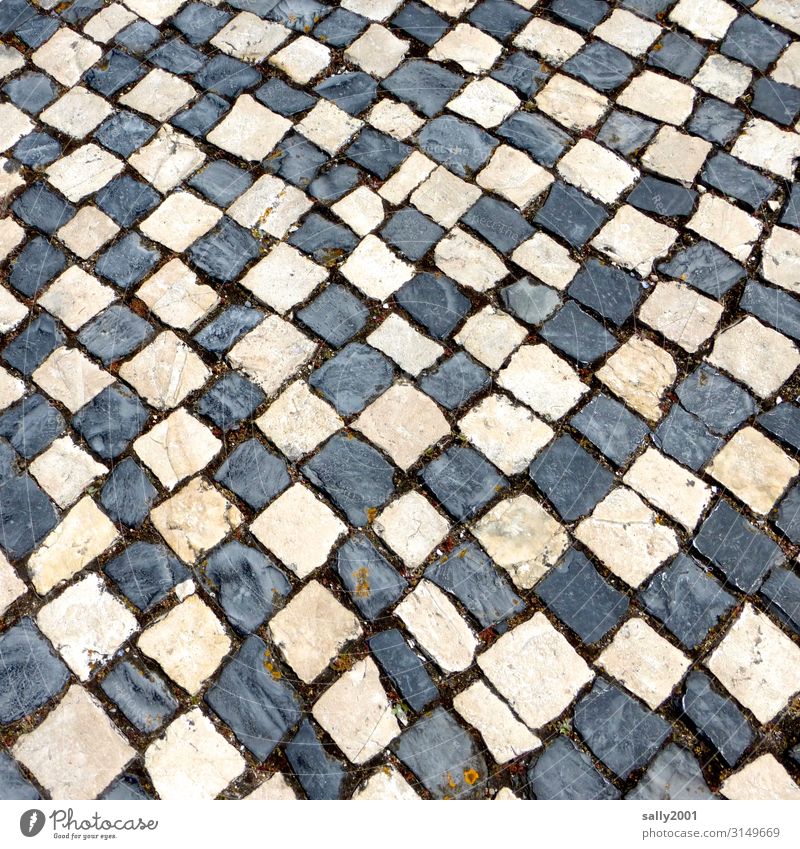 Mosaic attempt... Transport Traffic infrastructure Lanes & trails Cobblestones Stone Exceptional Sharp-edged black-and-white Paving stone Cobbled pathway