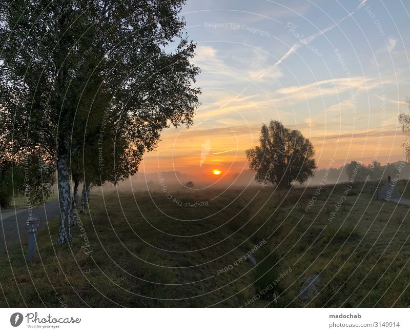 Sunrise in the Fog - Nature Tree Silhouette Wellness Harmonious Well-being Contentment Senses Relaxation Meditation Environment Landscape Sky Autumn